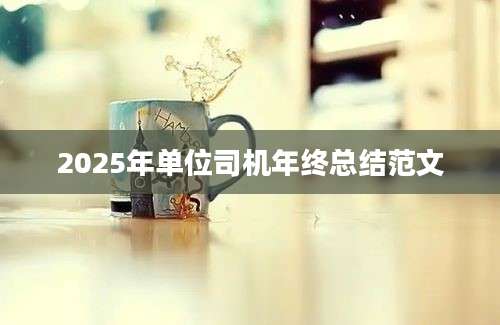 2025年单位司机年终总结范文