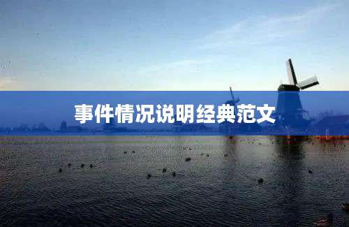 事件情况说明经典范文