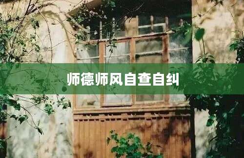 师德师风自查自纠