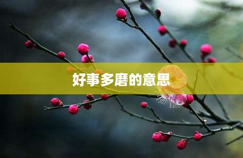 好事多磨的意思