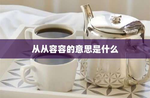 从从容容的意思是什么