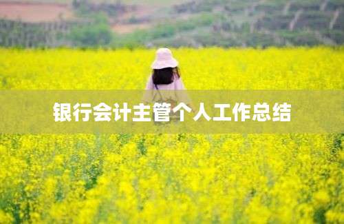 银行会计主管个人工作总结