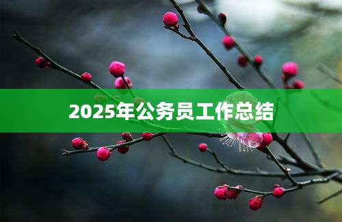 2025年公务员工作总结