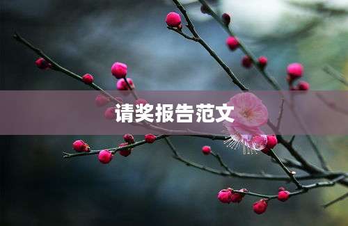 请奖报告范文
