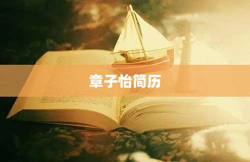 章子怡简历
