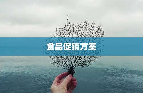 食品促销方案
