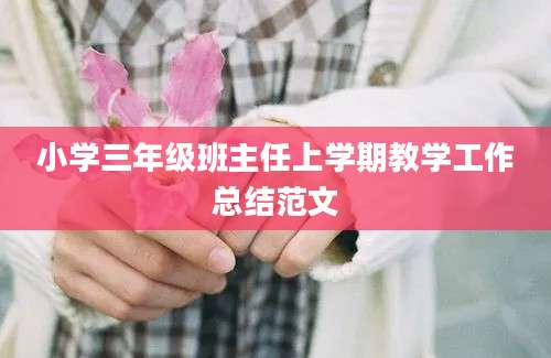 小学三年级班主任上学期教学工作总结范文