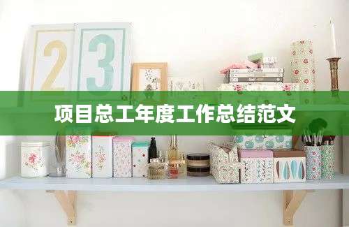 项目总工年度工作总结范文