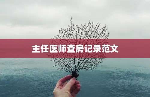 主任医师查房记录范文