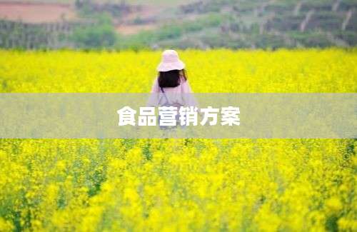 食品营销方案