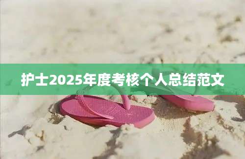 护士2025年度考核个人总结范文