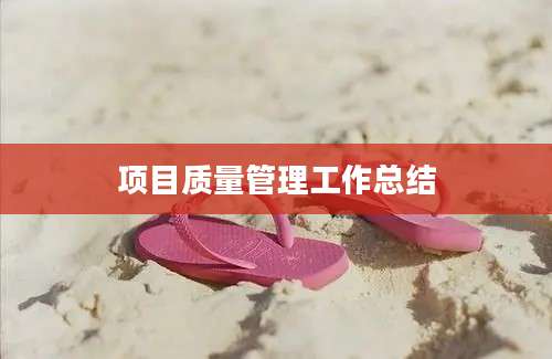 项目质量管理工作总结