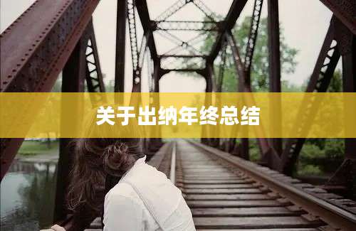 关于出纳年终总结