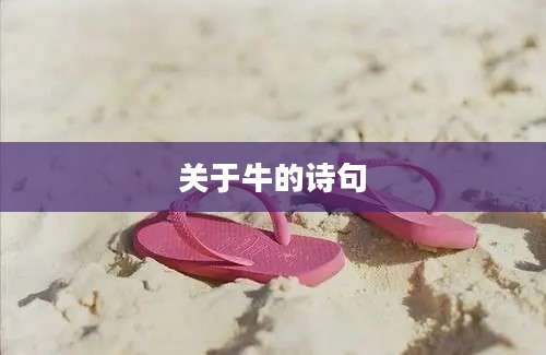 关于牛的诗句