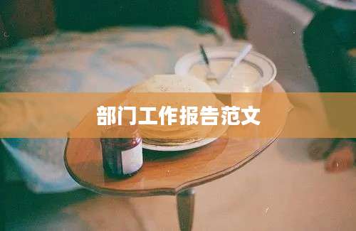 部门工作报告范文