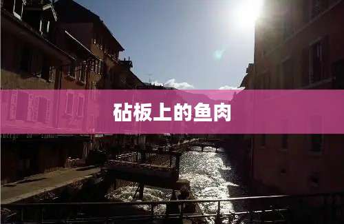 砧板上的鱼肉