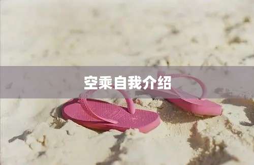 空乘自我介绍
