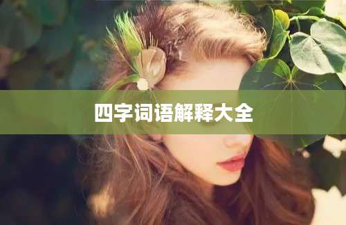四字词语解释大全