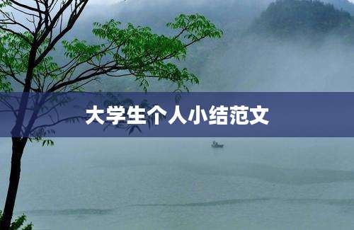 大学生个人小结范文