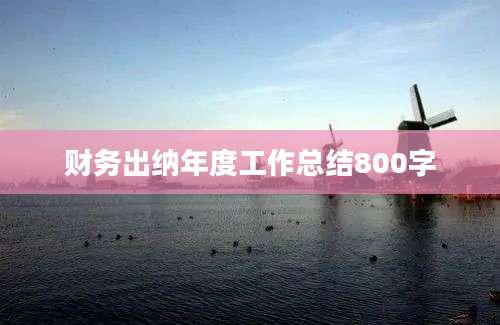 财务出纳年度工作总结800字
