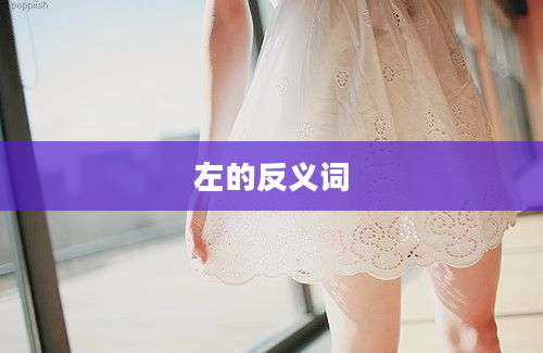 左的反义词
