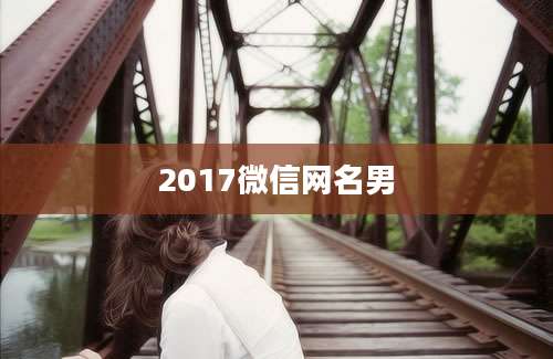 2017微信网名男