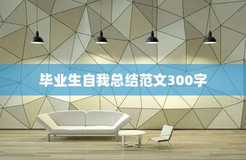 毕业生自我总结范文300字