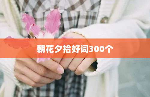 朝花夕拾好词300个