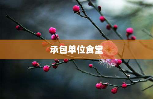 承包单位食堂