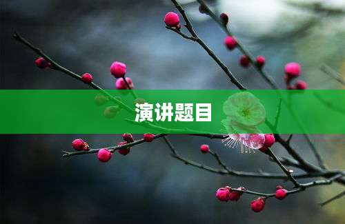 演讲题目