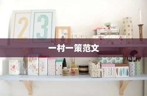 一村一策范文