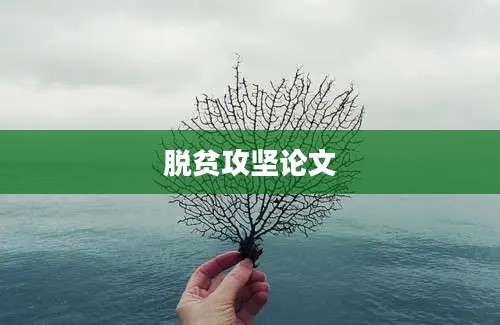 脱贫攻坚论文