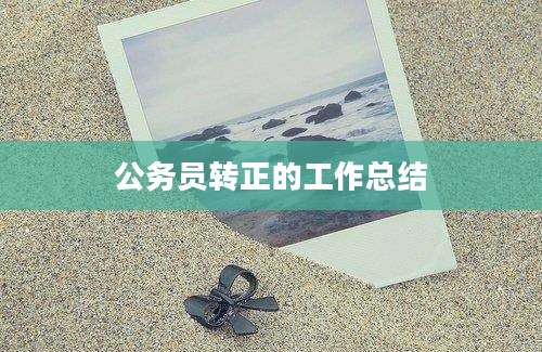 公务员转正的工作总结