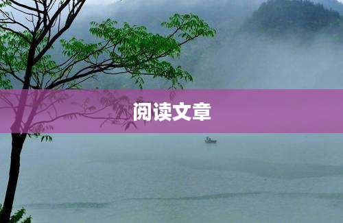 阅读文章