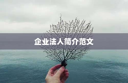 企业法人简介范文