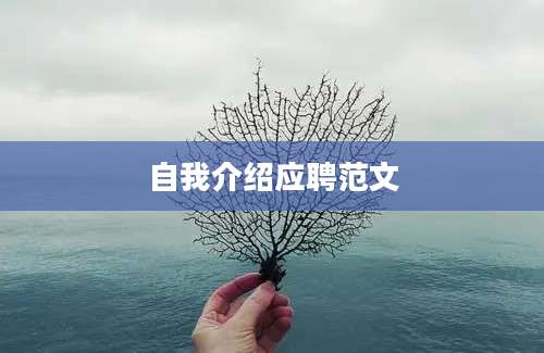 自我介绍应聘范文