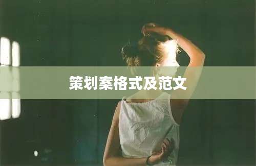 策划案格式及范文