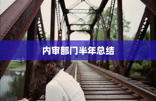 内审部门半年总结