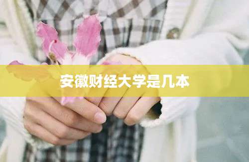 安徽财经大学是几本