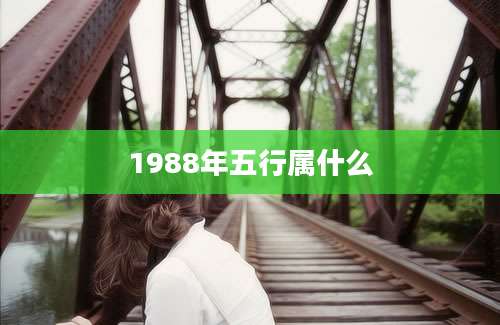 1988年五行属什么