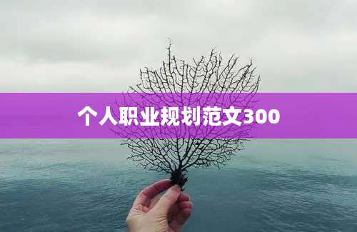 个人职业规划范文300