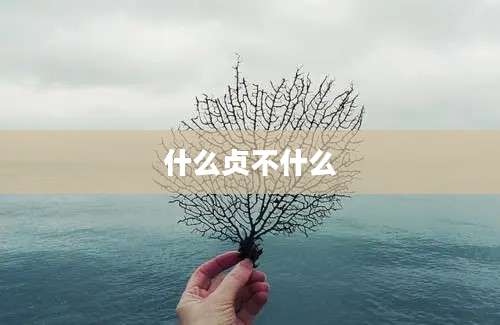 什么贞不什么