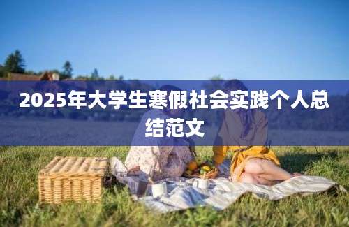 2025年大学生寒假社会实践个人总结范文