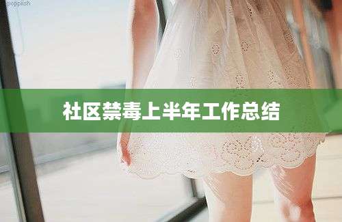 社区禁毒上半年工作总结