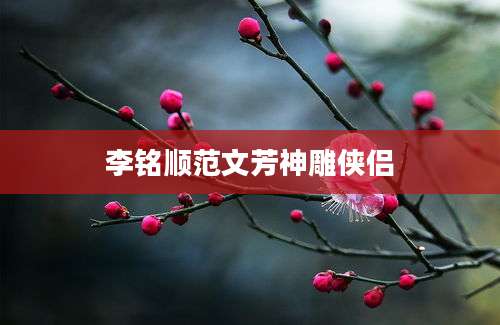 李铭顺范文芳神雕侠侣