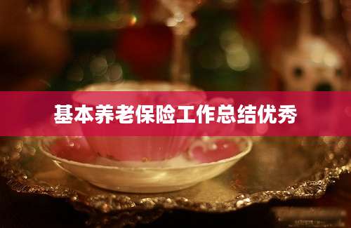 基本养老保险工作总结优秀