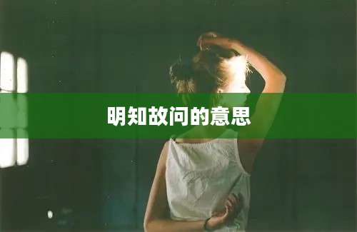 明知故问的意思