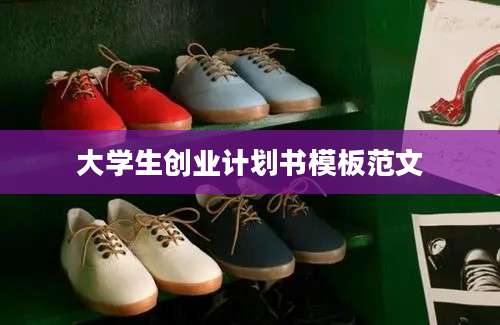 大学生创业计划书模板范文