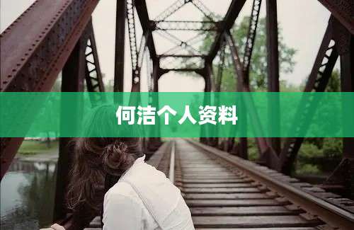 何洁个人资料