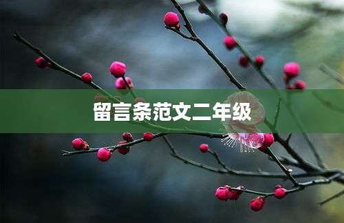 留言条范文二年级